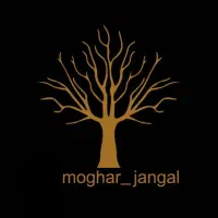 مغار قلمی چکش خور