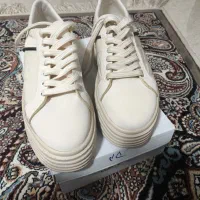 کتونی برند Ecco|کیف، کفش، کمربند|هشتگرد, ینگی امام|دیوار