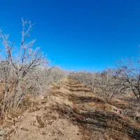 3هکتار-باغ-دشت-لویین