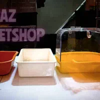 دنیای پرندگان آراز|پرنده|مشگین شهر, |دیوار