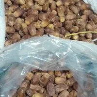 قصب درجه یک درشت قیمت توافقی|خوردنی و آشامیدنی|افزر, |دیوار