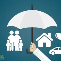 دانا،بازار بیمه ها|خدمات مالی، حسابداری، بیمه|یزد, |دیوار