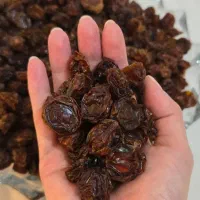 آلوچه کاملا طبیعی افتاب خشک تک و عمده