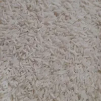 برنج دم سیاه کلاله اعلاء