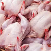 قطعه بندی مرغ