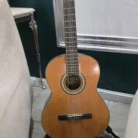 گیتار حرفه ای بست فان اصلی