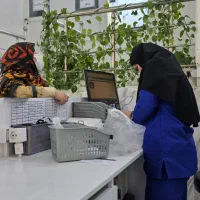 منشی لیزر پاستور