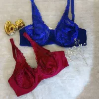 نیم تنه طرح گوچی|لباس|نظرآباد, نظرآباد|دیوار