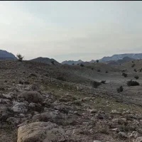 چراگاه گوسفند،اجاره قشلاق ۹ دانگ،شهرستان فراشبند