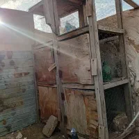 جفت کنی