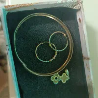 گوشواره پلاک والنگو