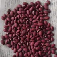 لوبیا قرمز|خوردنی و آشامیدنی|بیرانوند, |دیوار