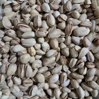 پسته تازه سیرجان