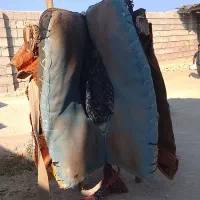 پالون مینابی|اسب و تجهیزات اسبسواری|قشم, |دیوار