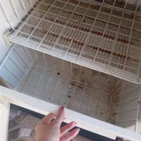 فریزر سالم|یخچال و فریزر|رشت, جماران|دیوار