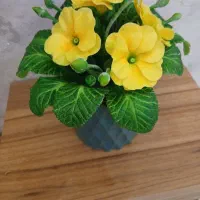 گلدان دکوری|صنایع دستی و سایر لوازم تزئینی|رباط‌کریم, رباط‌کریم|دیوار