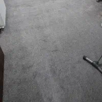موکت پالاز