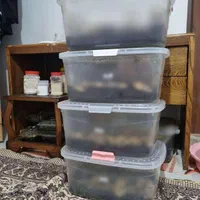 سرمایه در کار در منزل شغل خانگی کار درمنزل