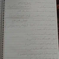 کتاب دست نوشته فروشی