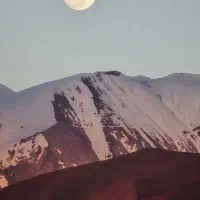 خط تلفن ثابت بفروش میرسد