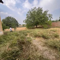 زمین چهار دیواری بر جاده شهید کلانتری کیلومتر ۲