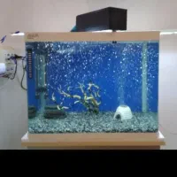 آکواریم شیشه خم