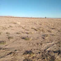 فروش فوری ۴ساعت آب ویک هکتار زمین