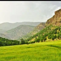 بلیط رفتینگ چهارساعته 1404
