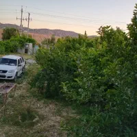 فروش خانه باغ.درچمکبود براصلی جاده ایلام دره شهر|فروش خانه و ویلا|ایلام, |دیوار