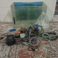 اکواریوم