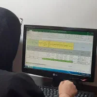 حسابدار حرفه ای