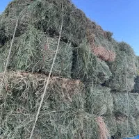 یونجه|خدمات باغبانی و درختکاری|میاندوآب, |دیوار