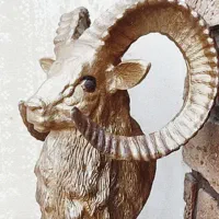 قوچ دیواری زیبا