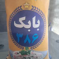 برنج ۳۸۶ بابک
