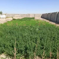فروش ، رهن و یا اجاره یک واحد دامداری
