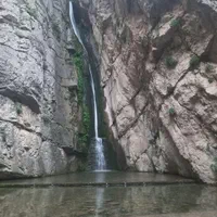 طبیعت گردی جنگل