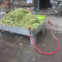 سبزی خردکنی خوی|خوردنی و آشامیدنی|خوی, |دیوار