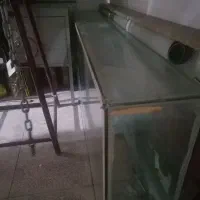 آکواریوم بزرگ