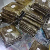 اگر دنبال کار خوب میگردی الان بهترین فرصته