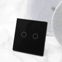 کلید پریز 2پل هوشمند مدل wifi-10A