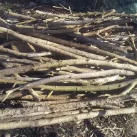 هیزم|لوازم نظافت|سنگر, |دیوار