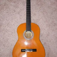 فروش گیتار