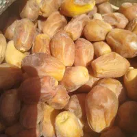 رطب برحی|خوردنی و آشامیدنی|تهران, آرژانتین|دیوار