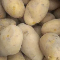 سیب زمینی