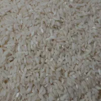 برنج عنبربو دره شهر|خوردنی و آشامیدنی|دره شهر, |دیوار