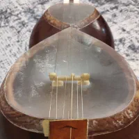 تار حرفه ای|سازهای سنتی|تهران, سازمان برنامه شمالی|دیوار