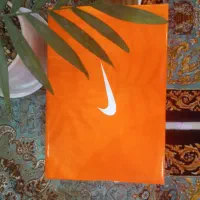 کفش استوک نایک و نیو بالانس|کیف، کفش، کمربند|گرگان, |دیوار