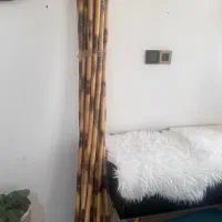 ۱۹عدد بامبو