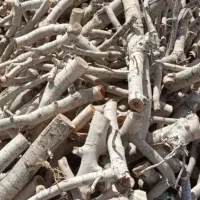 فروش چوب پسته