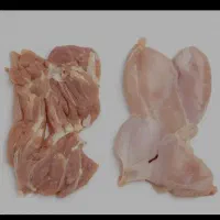 فیله ران، شینسل ران